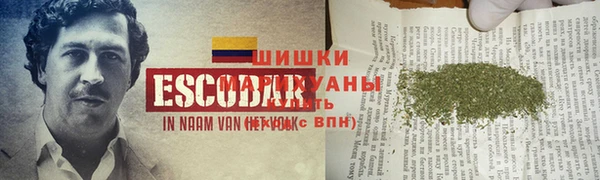 индика Гвардейск