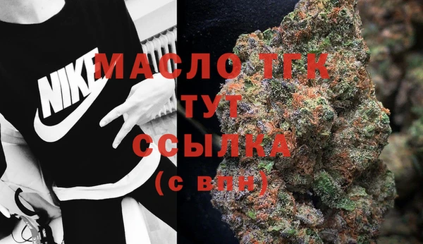 индика Гвардейск
