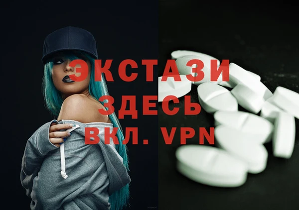 стафф Гатчина