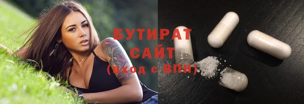 стафф Гатчина