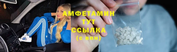 амф Галич