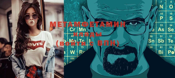 стафф Гатчина