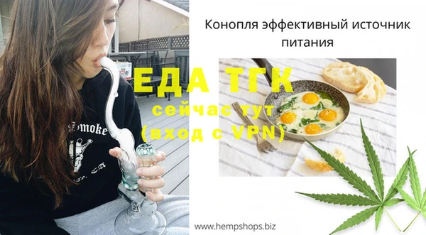 стафф Гатчина