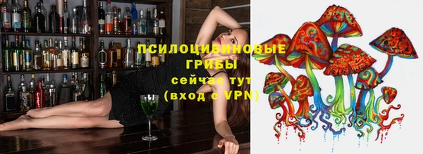 mdpv Губаха