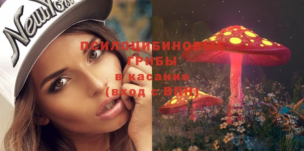 спайс Лихославль