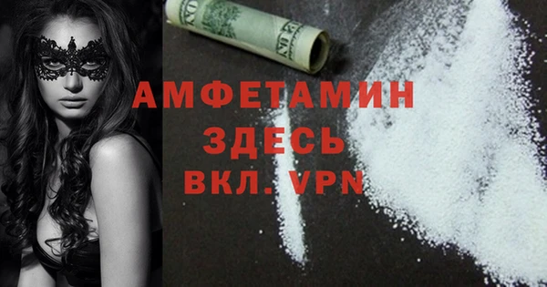 стафф Гатчина