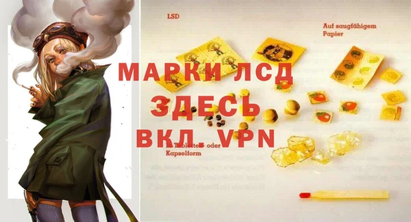стафф Гатчина