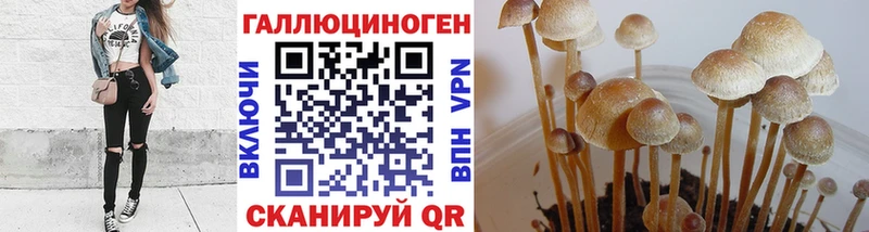 площадка формула  купить наркотик  Лаишево  Псилоцибиновые грибы ЛСД 